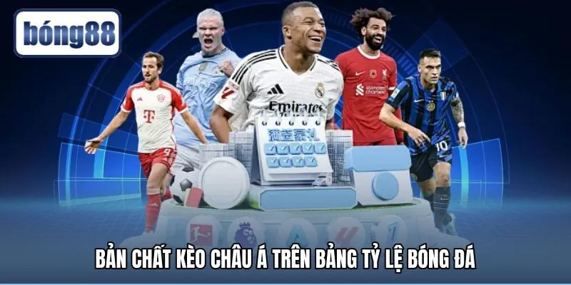 Cách đọc kèo châu Á và quy tắc cân bằng tỷ lệ
