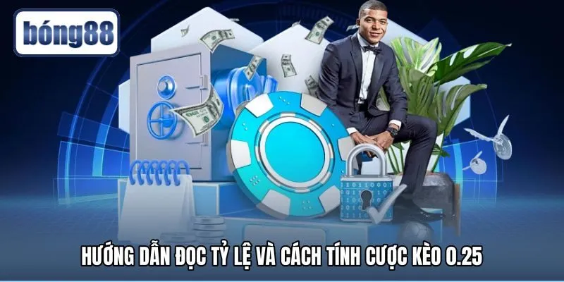 Kèo 0.25 là gì và các bước tính tiền cược chuẩn xác